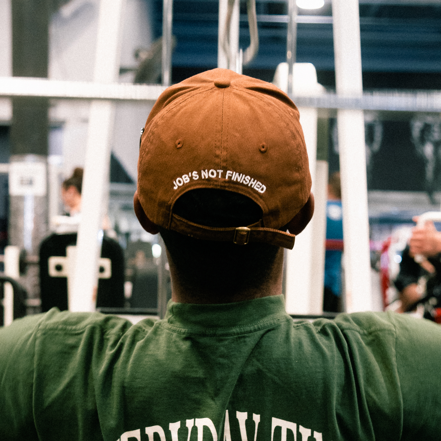 Distressed Dad Hat