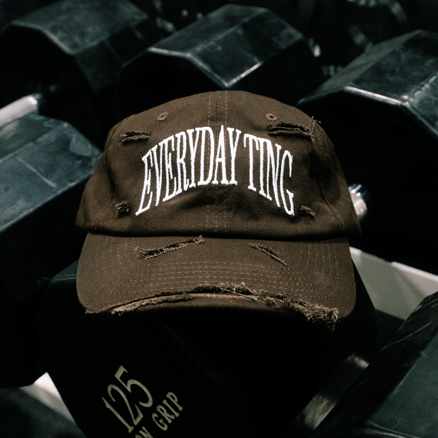 Distressed Dad Hat