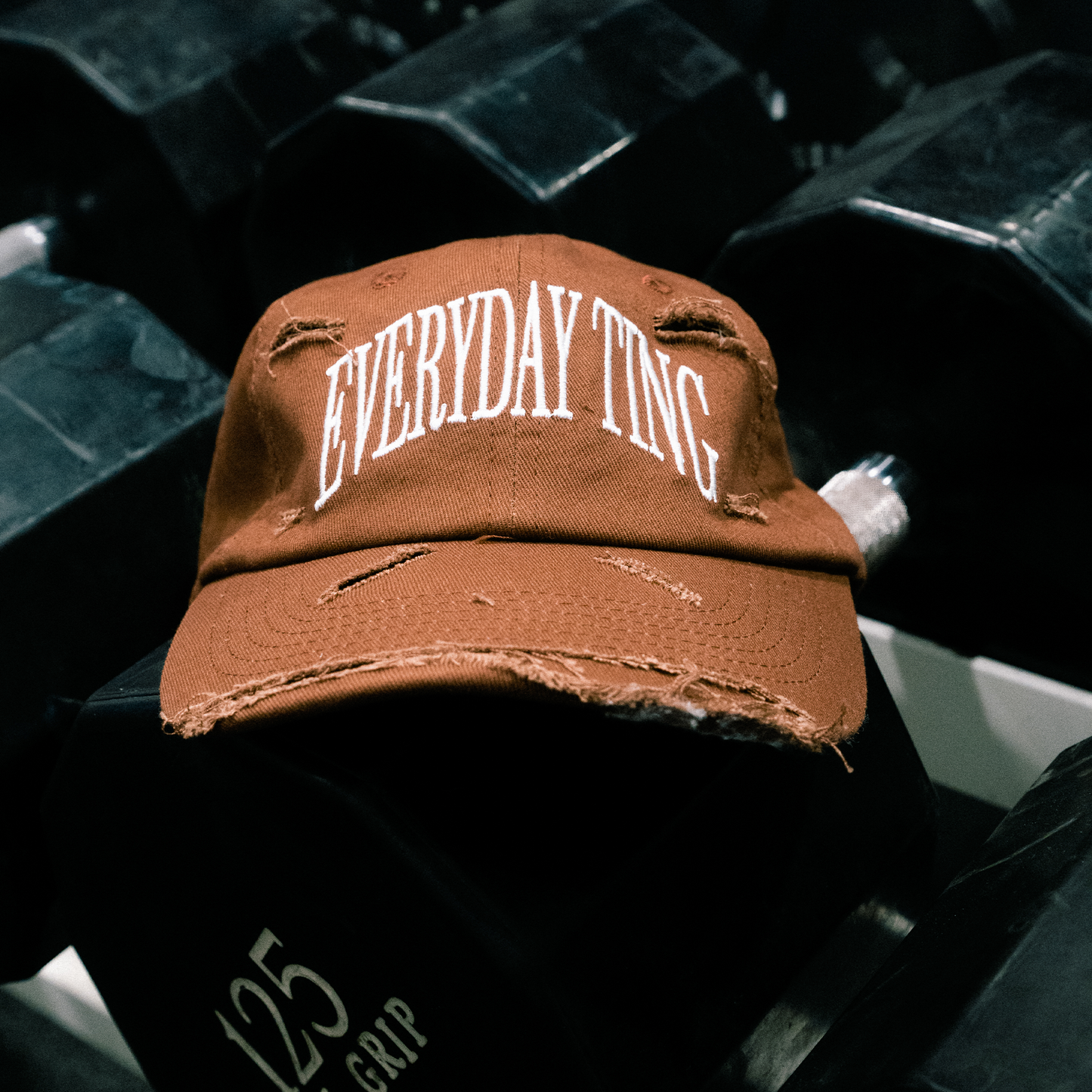 Distressed Dad Hat